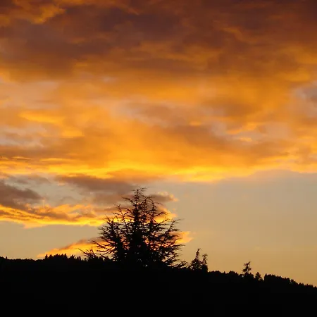 公寓 摩泽尔豪斯公寓 *