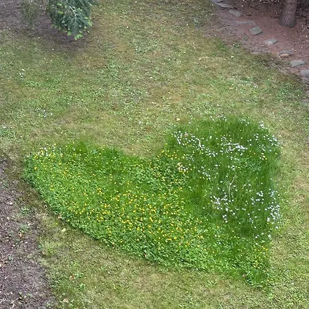 Haus Mosella Daire *