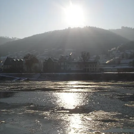 Haus Mosella Daire Cochem