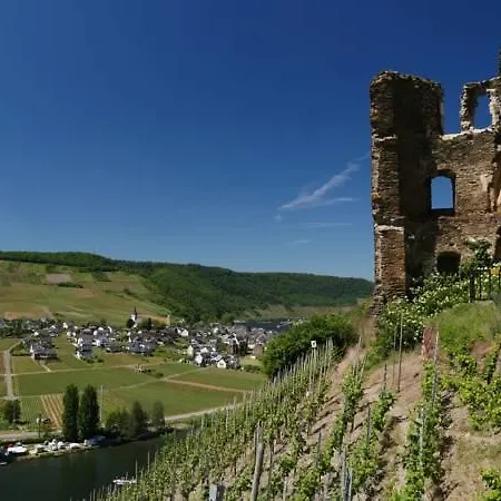 Lejlighed Haus Mosella
