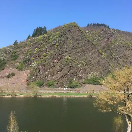 摩泽尔豪斯公寓 公寓 科赫姆