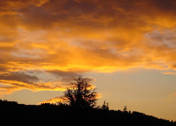 Appartamento Haus Mosella *