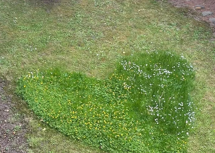 Haus Mosella Apartamento *