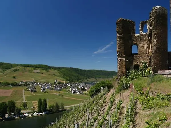 Appartamento Haus Mosella